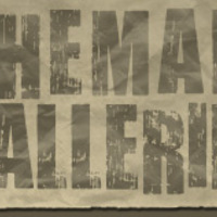 Shemale Galleries